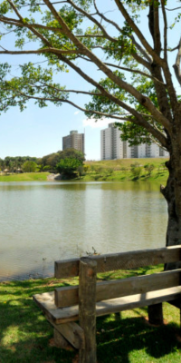 Engordadouro